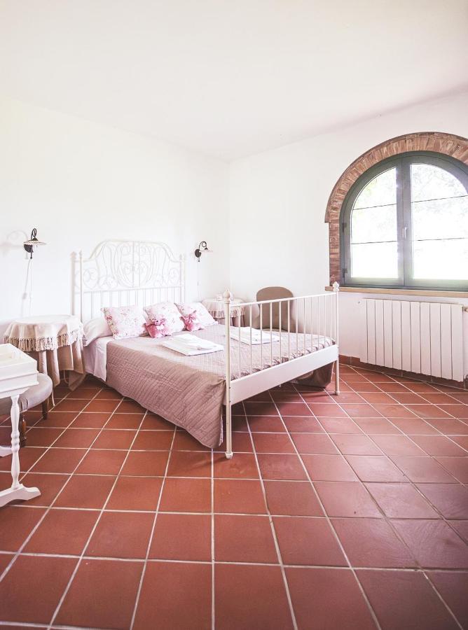 Appartamento Relais Casale Il Poggetto - Olivo 1 By Zoom In Earth Cecina  Esterno foto