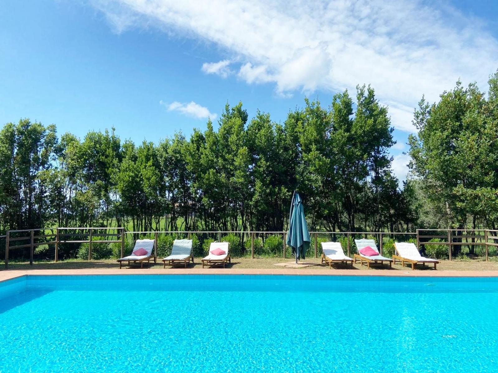 Appartamento Relais Casale Il Poggetto - Olivo 1 By Zoom In Earth Cecina  Esterno foto